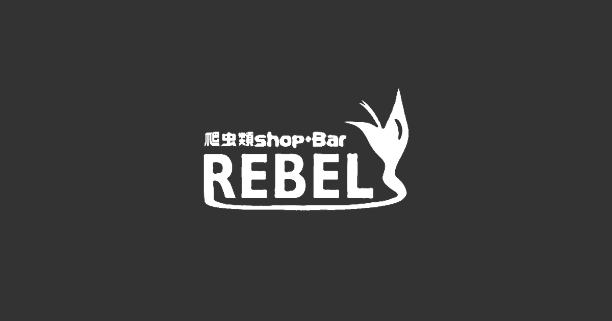 Pierce shop & Bar REBEL